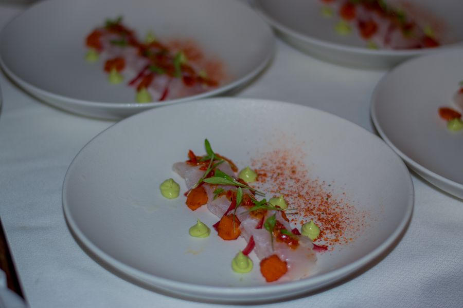 Plated raw white fish crudo with avocado cream dots, microgreens and chili powder