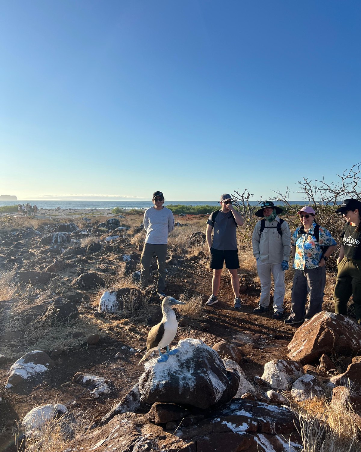 A corporate group on a Galápagos trail at golden hour